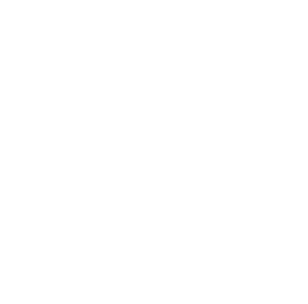 Roof Repairs Starting at $299 + GST