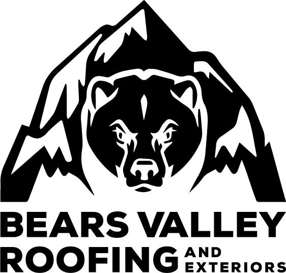 bvr logo black