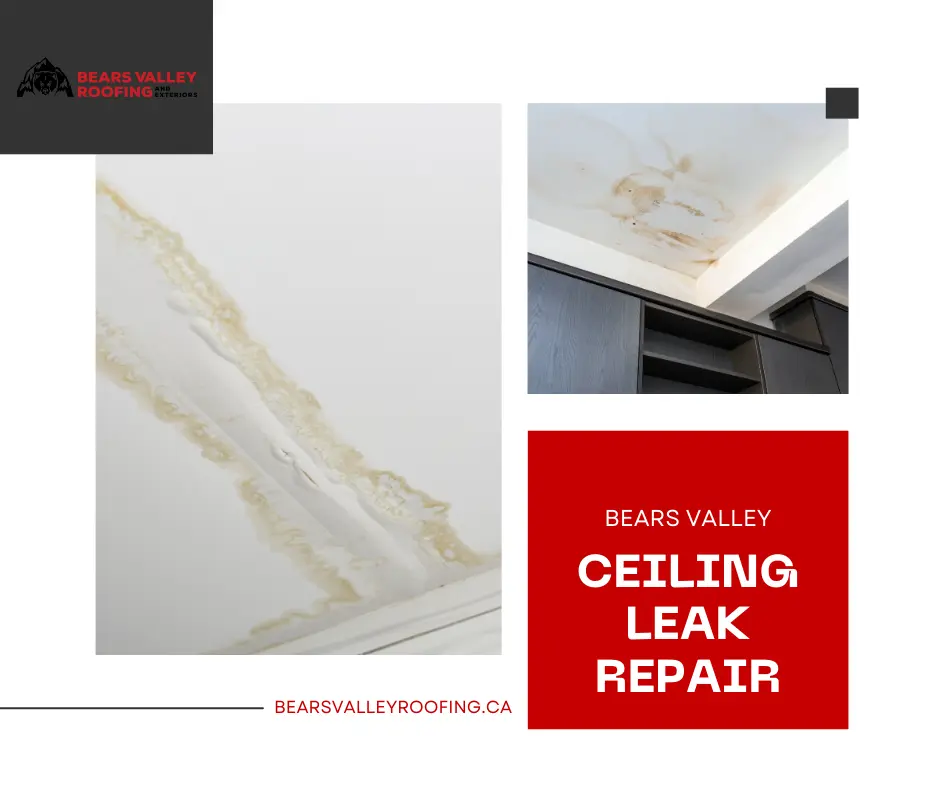 ceiling and roofing repair