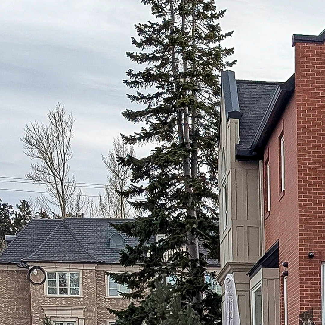 Luxury character home residential roof in Upper Mount Royal, Calgary