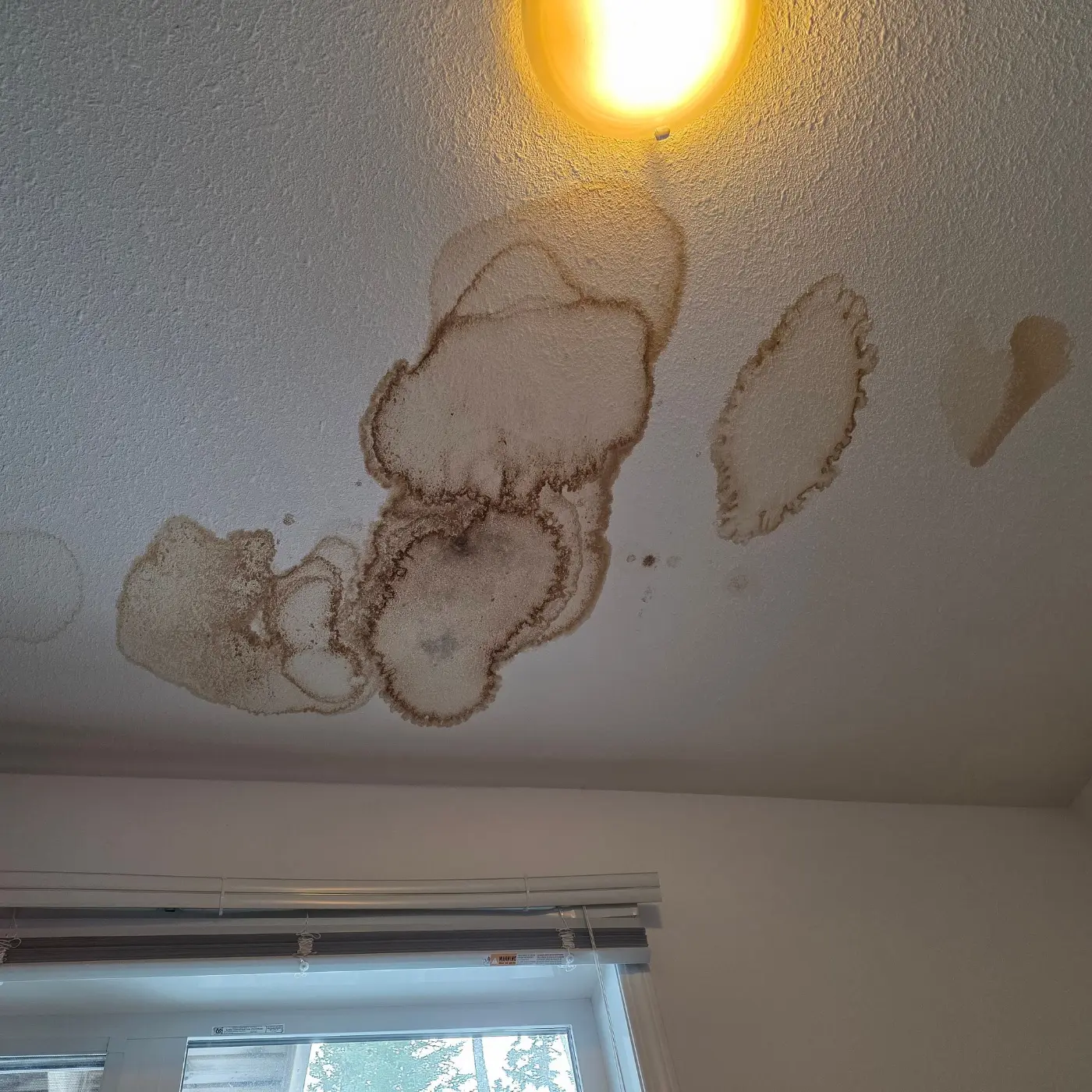 Water stains on a suite ceiling in a Banff apartment building, from a roof leak we traced and repaired