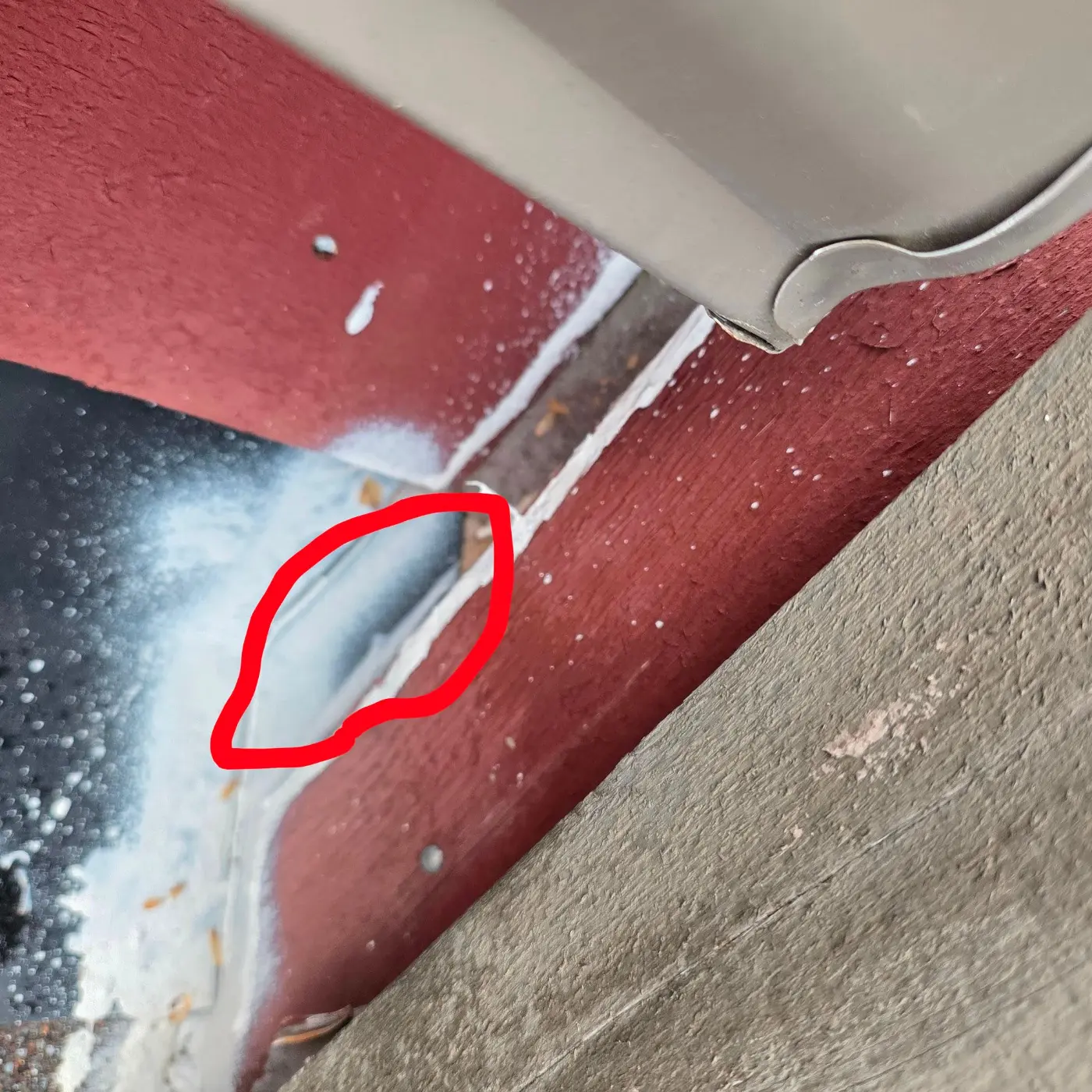Leak source circled at the roof edge flashing of a Banff apartment building during leak detection