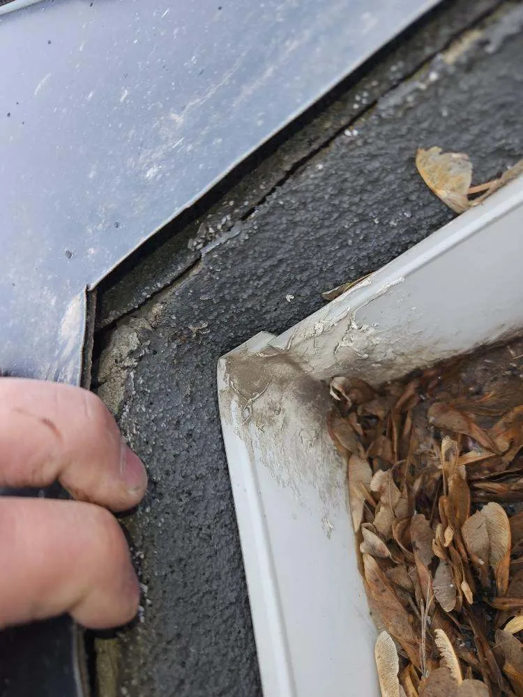 Eavestrough full of debris at a worn roof edge in Bankview, Calgary