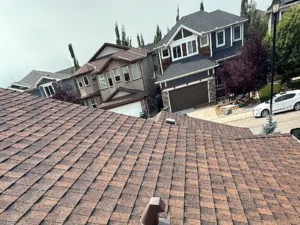 Roof inspection on a two-storey home with box vents