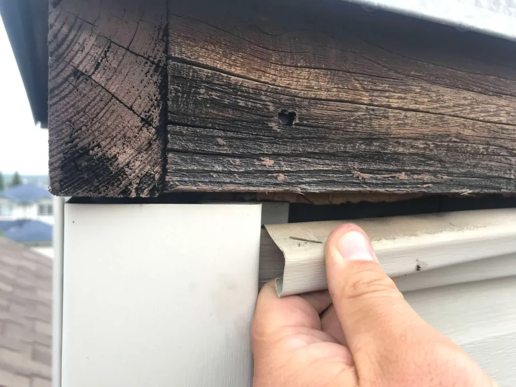 Rotting wood fascia behind the eavestrough on a Hidden Valley, Calgary home