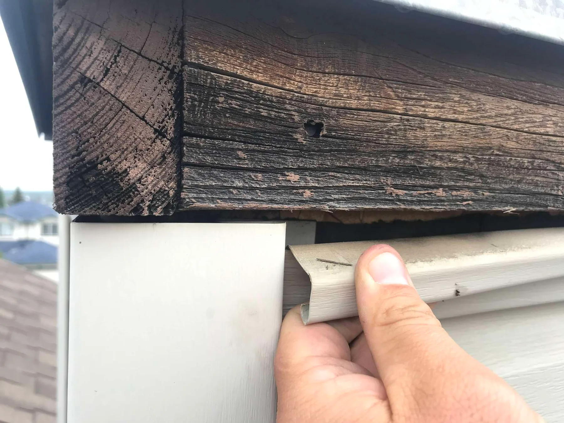 Rotting wood fascia behind the eavestrough on a Hidden Valley, Calgary home