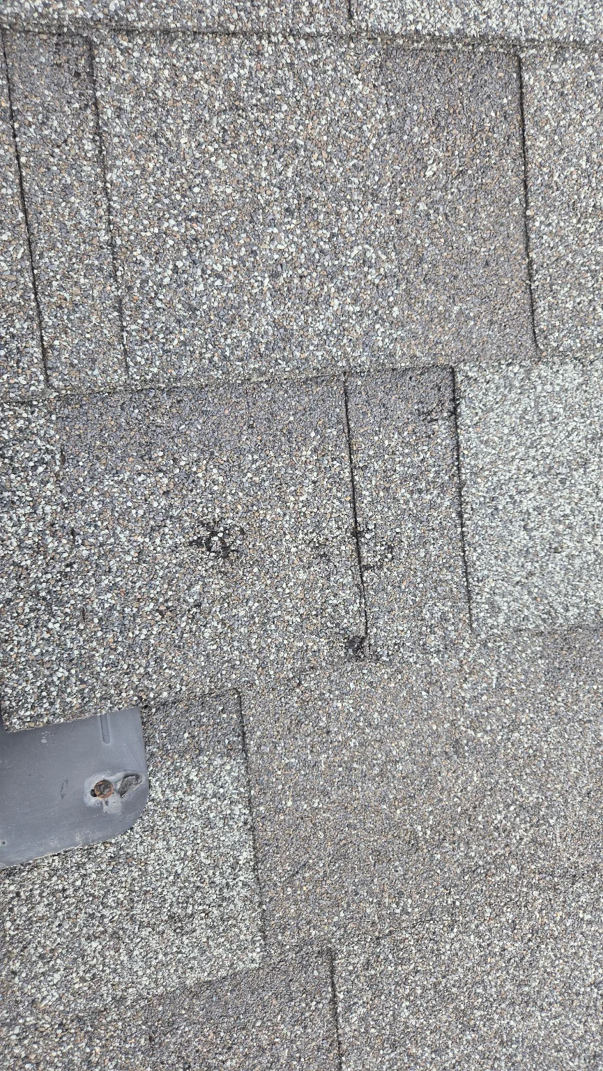 Close-up of hail bruising on a shingle, Calgary
