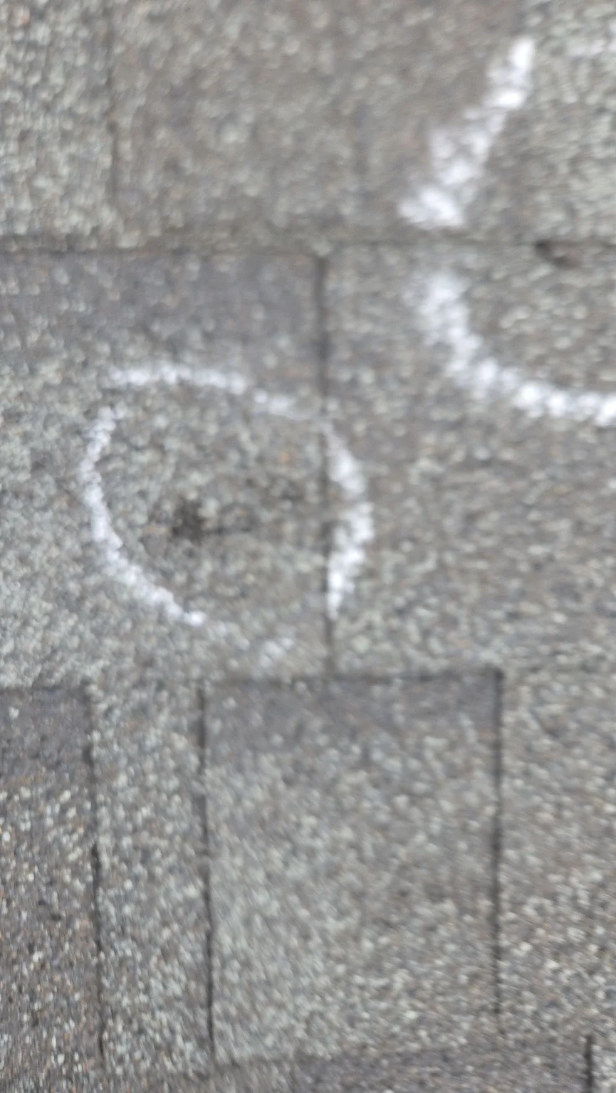 A hail hit circled on an asphalt shingle, Calgary