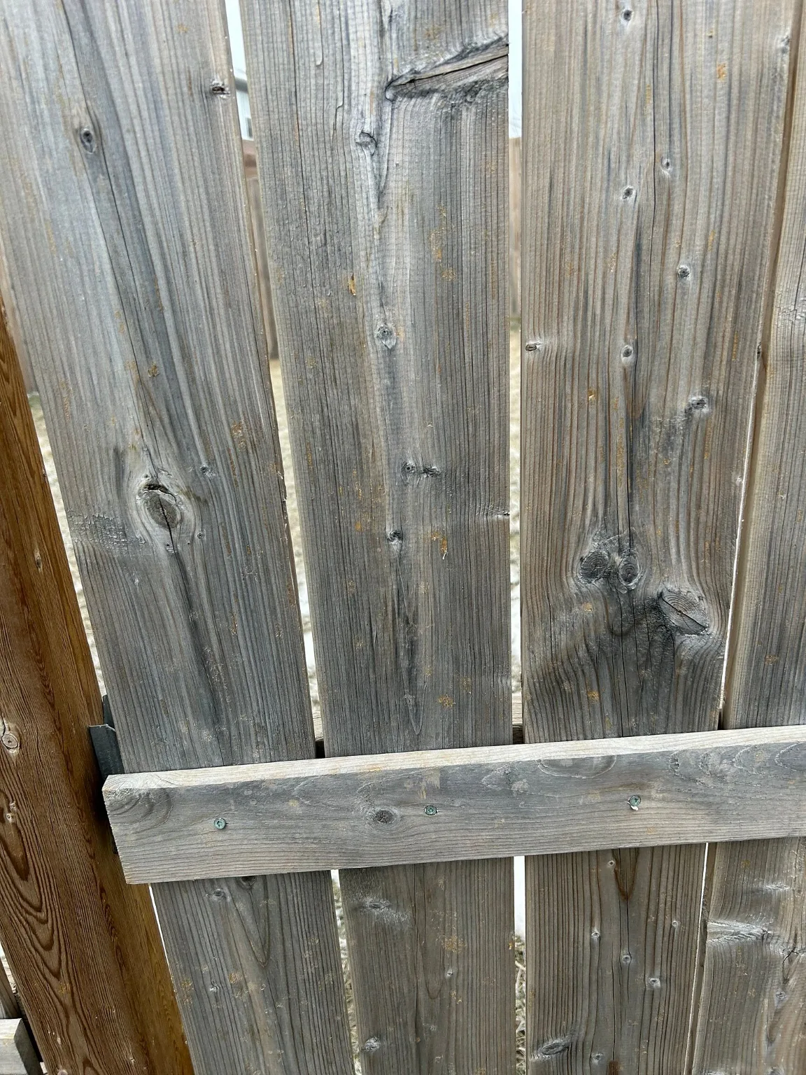 Hail splits in a wood fence, Calgary