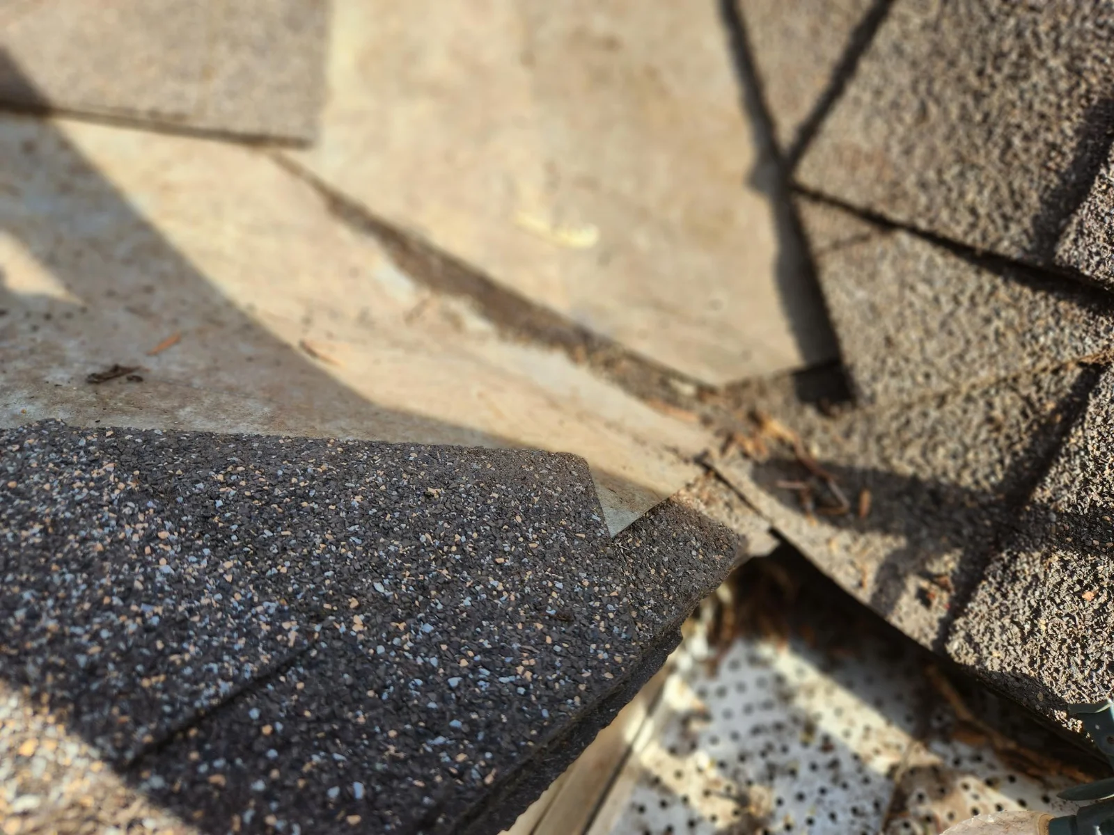 Shingle damage in the valley, Calgary, AB