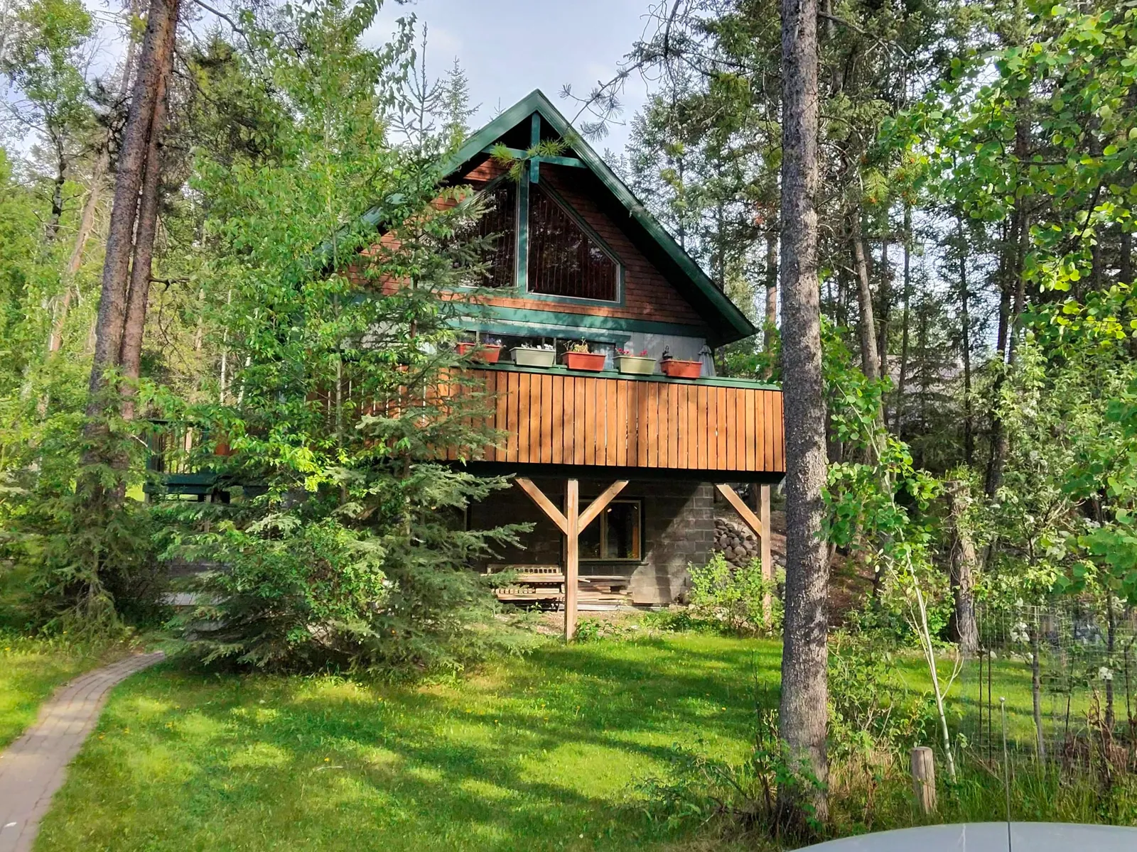 Edgewater cabin among tall trees