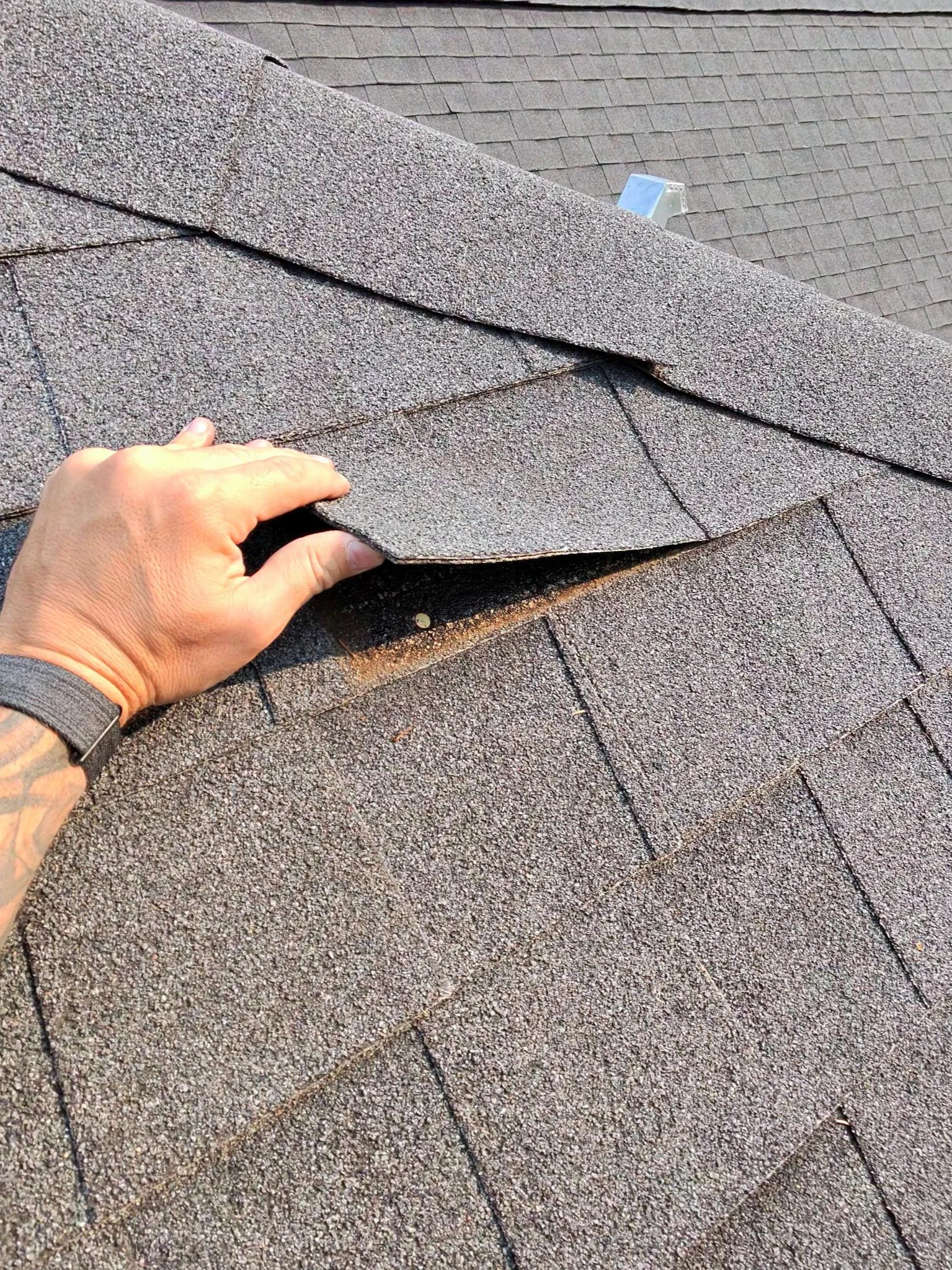 A lifting shingle tab, Edgewater, BC