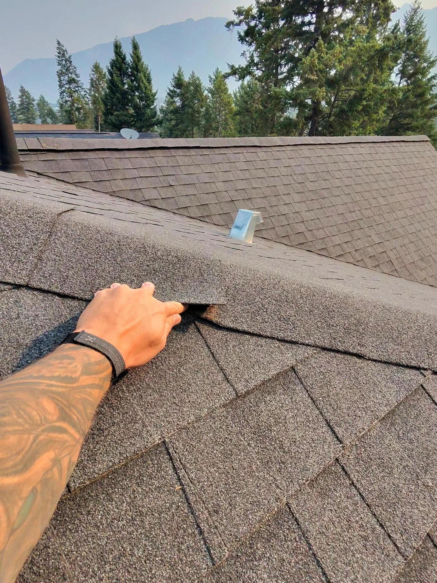 A shingle tab that has come unsealed, Edgewater, BC