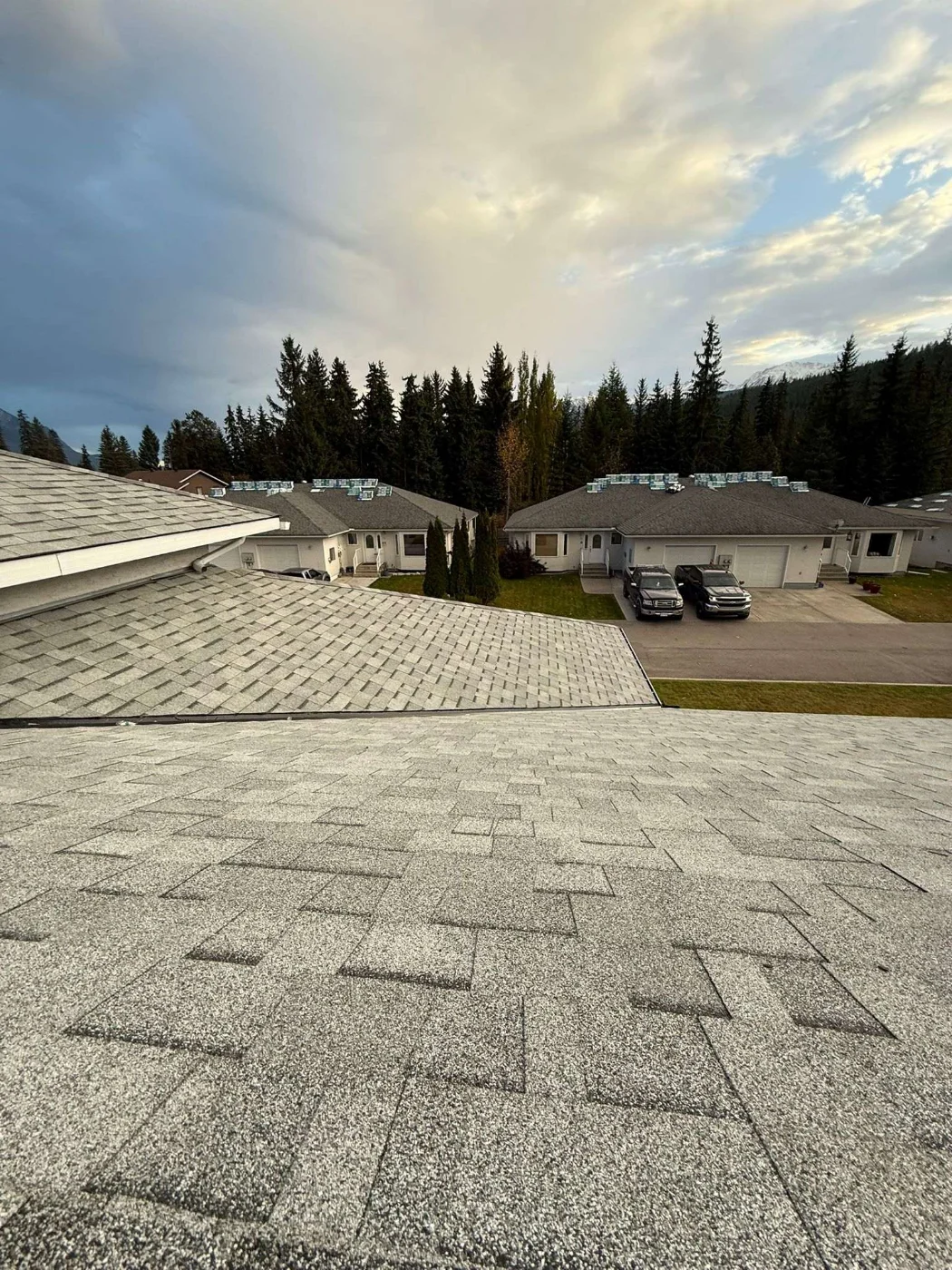 Close-up of the new architectural shingles on the strata roofs