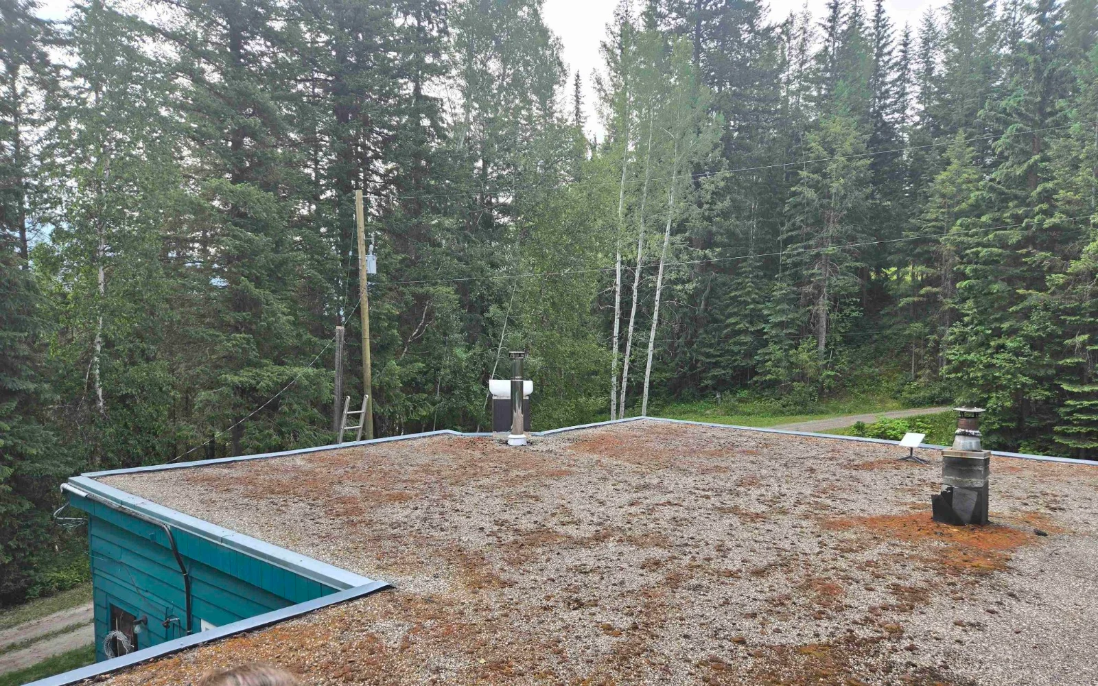 A corner of the flat roof, Golden, BC