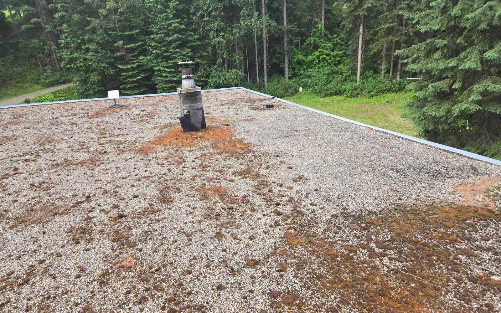 Moss and worn gravel across the roof, Golden, BC