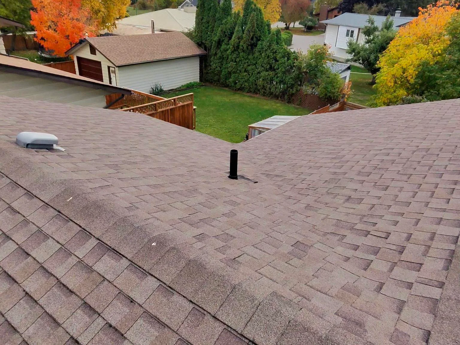 An asphalt shingle roof inspected in Golden, BC, with the mountains behind