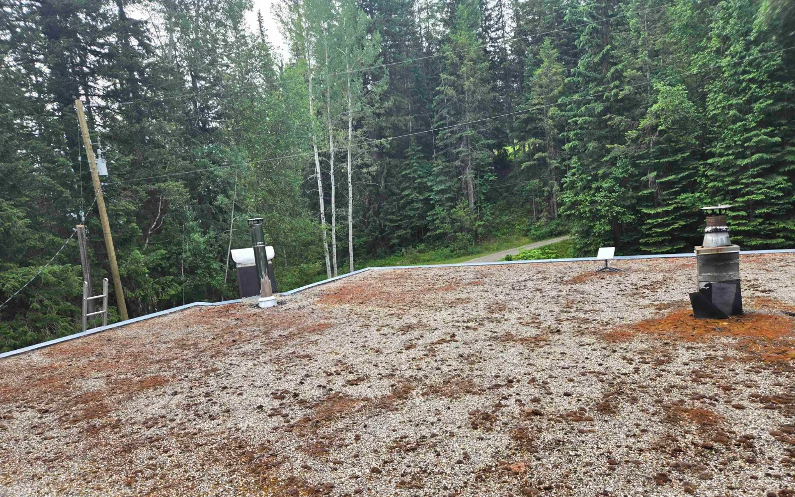 An old tar and gravel flat roof among the trees, Golden, BC