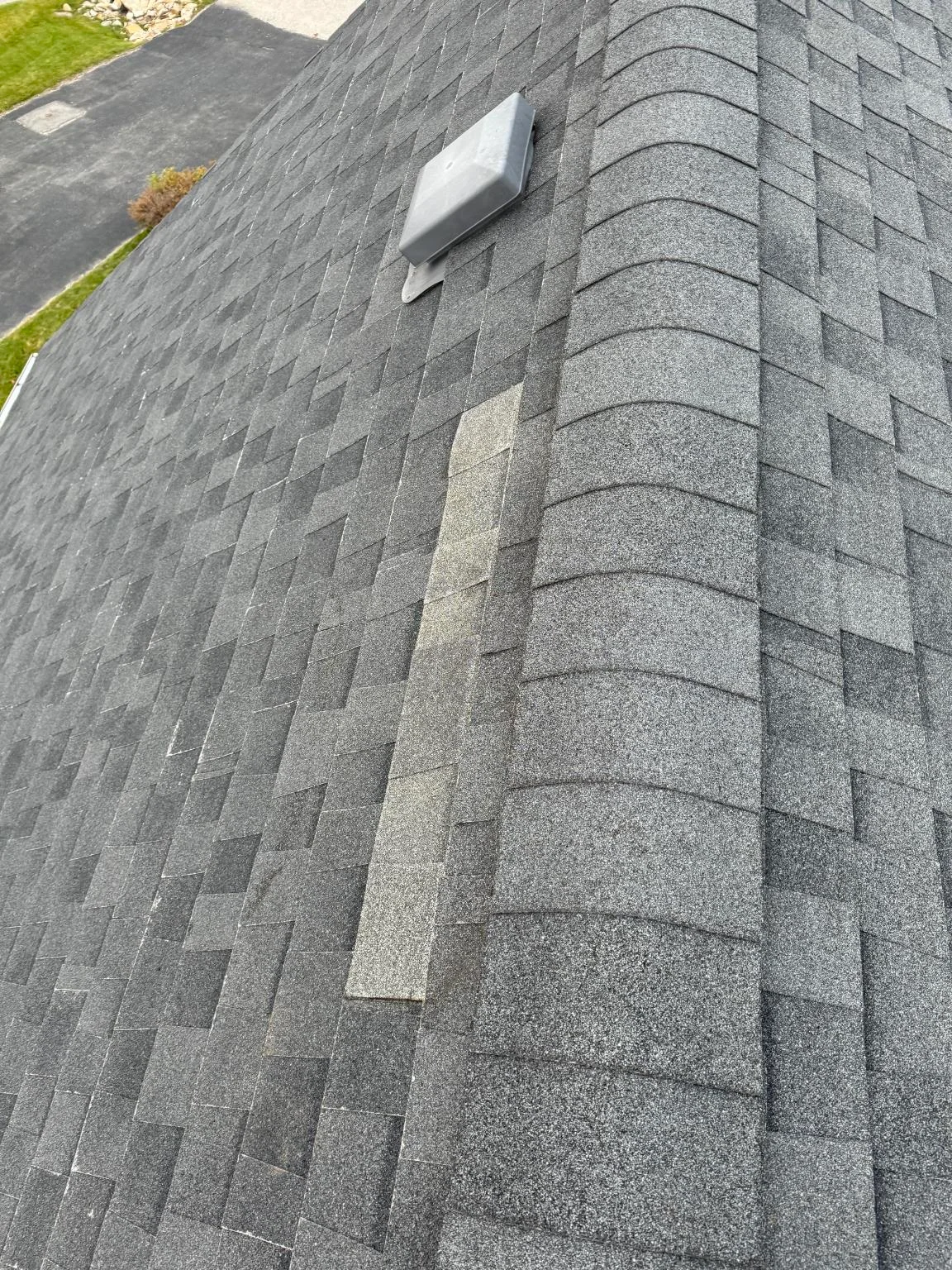 A temporary patch along a hip after wind damage, Invermere, BC