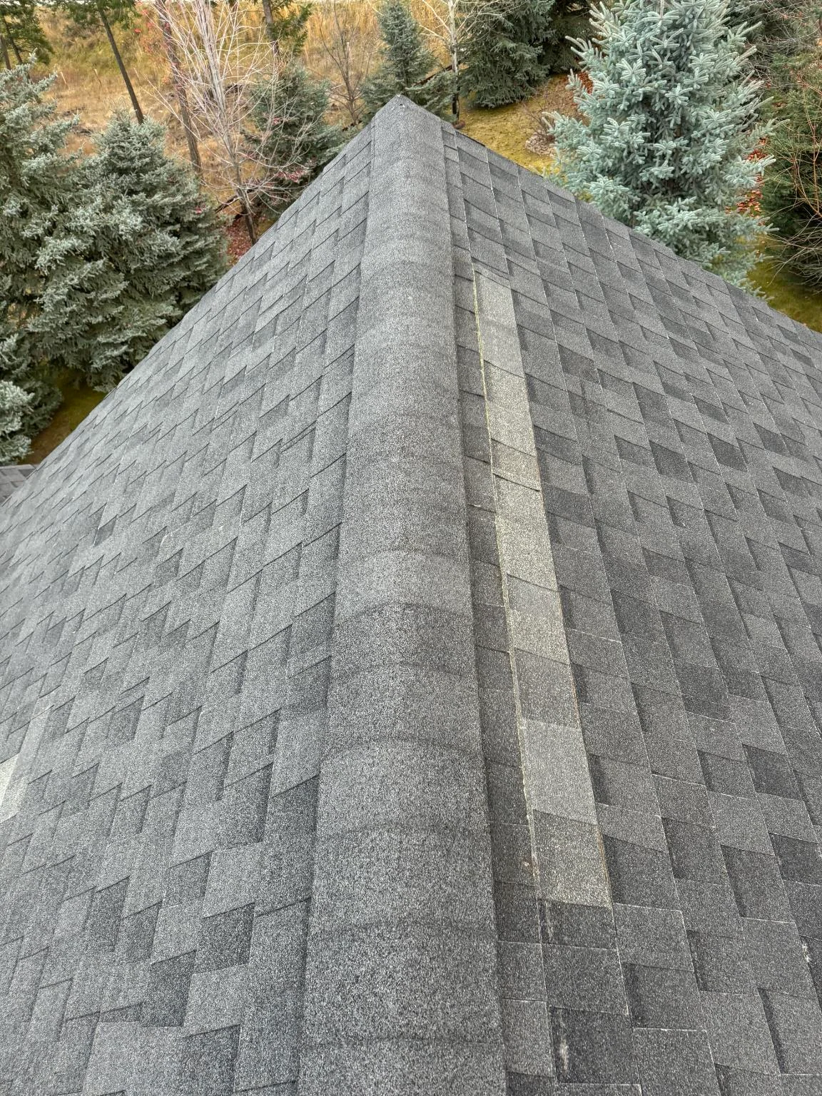 Patched shingles below the ridge, Invermere, BC
