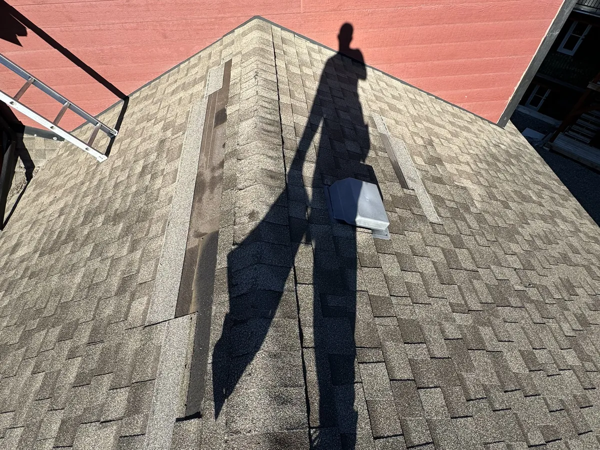 Wind-damaged shingle tabs on a Radium Hot Springs roof before replacement