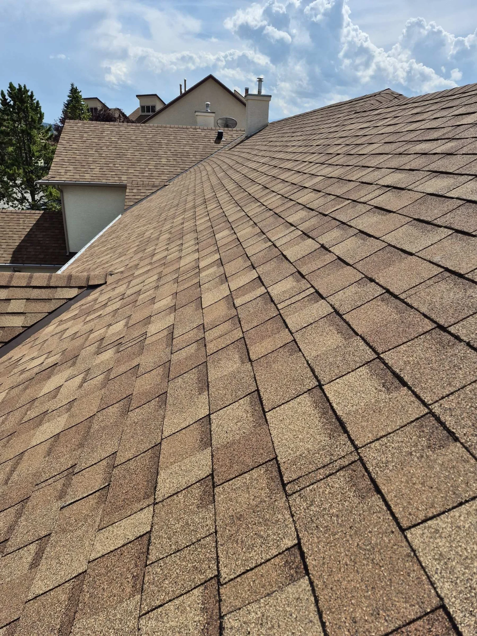 New shingles and roof vents on a finished slope, Radium Hot Springs, BC