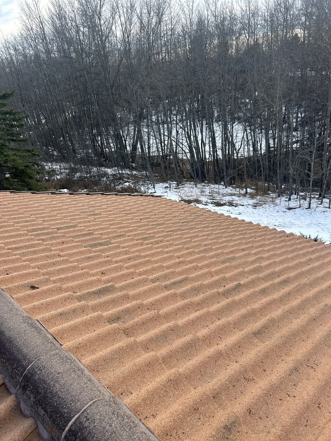 A 30-year-old concrete tile roof inspected in Rocky View County, near Calgary